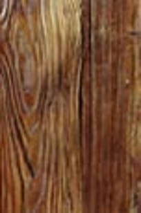 MUSHROOM BOARD on Designer Page