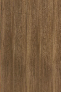 Soundply RFM-19 on Designer Page