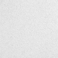 AXIOM Vector: 1614V6A2224V, on Designer Pages