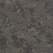 Orion 3531