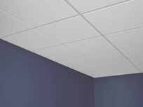 Eclipse™ Illu | Ceiling Systems / Acoustical Ceilings — Designer Pages
